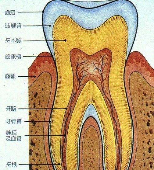 ׵İYF(xin)