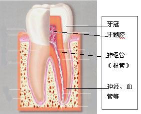 (jng)ò