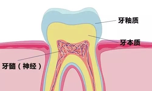 ίʲôע(xing)